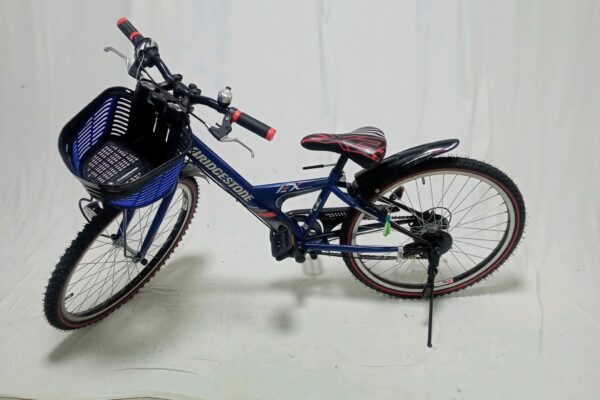 ブリジストン EX 子供用自転車 マウンテンバイク